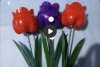 4101649C-18E5-4CAF-A9F6-398BCFB86764.jpeg
