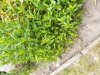 20220623_152718.jpg