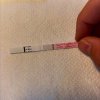 FEBD4F9A-56CF-496D-B8F4-22C5D4F957F1.jpeg