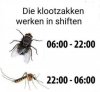 FB_IMG_1656276299307.jpg
