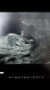 Screenshot_20220627-171918_Gallery.jpg