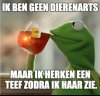 Kikker1.jpg