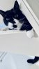 C3AD799B-9376-48FF-ABC5-C36712AFCB47.jpeg