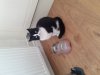 20220401_093603.jpg
