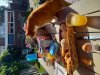 20220515_095448.jpg