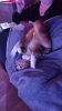 IMG-20220421-WA0004.jpg