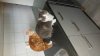 IMG-20210917-WA0002.jpeg