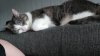 IMG-20210609-WA0009.jpeg