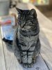 D04D0D38-5678-4B85-932C-7651BB1180DC.jpeg