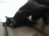 20210512_192038.jpg