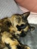 IMG20220605004735.jpg