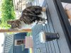 20220611_090526.jpg