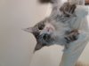 20161108_094547.jpg