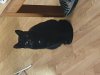 20201113_210122.jpg