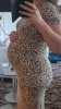 20220707_101947.jpg