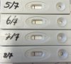 F9DED75D-A050-441E-8E80-88CB0C7A59C5.jpeg