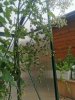 IMG_20220712_210644.jpg