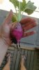 IMG-20220628-WA0069.jpeg
