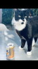 747C60C9-BE9A-4D58-93E6-4541FC33EB05.png
