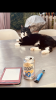 E44B24EC-5A04-4922-82EA-3D33389DF7DB.png