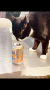 C7EC6ABB-C82A-4B63-A6D2-0ED4A88644A3.png
