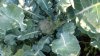 IMG-20220714-WA0008.jpeg