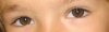 nienke oog.jpg