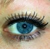20130408_113910_1-hires.jpg