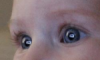 ogen.png