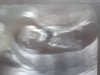 20130620_102352.jpg