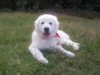 Foto116.jpg
