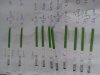 20130624_121212.jpg