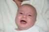 DSC01287.jpg