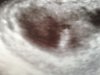 image2.jpg