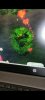 Screenshot_20220718-145831_WhatsApp.jpg