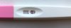 3.jpeg
