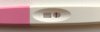image2.jpeg