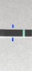 Screenshot_20220719-092158_Gallery.jpg