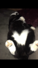 ABCCF9AD-EEE9-4A6C-AB67-1A4F06ED7225.png