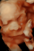 Picture3.png