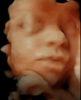 Picture6.png