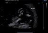 download (13).jpg