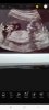 Screenshot_20220728-102923_PicsArt.jpg