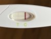 4C91C6A3-19F5-47C5-AE55-18AEA27DD4FD.jpeg