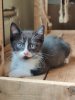IMG_20220804_140737_Bokeh.jpg
