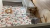 72C87463-B0AF-4590-A629-EB1158C55F27.jpeg