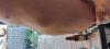 20220811_182741.jpg