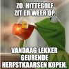 937549D2-534C-48BA-92E0-42094FA0ED97.jpeg
