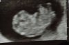 IMG-20220815-WA0010.jpeg