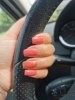 IMG_20220821_122359.jpg